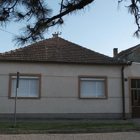 Nikodijevic Apartment Vrsac Exterior photo